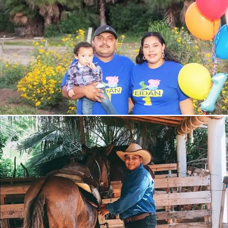 Cuadra Los Marros - Horse Farm - Todos Santos, Baja California Sur, México