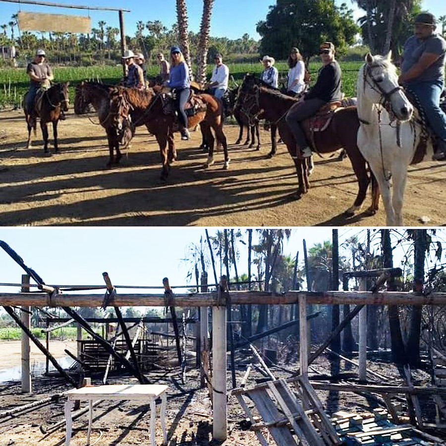 Cuadra Los Marros - Horse Farm - Todos Santos, Baja California Sur, México